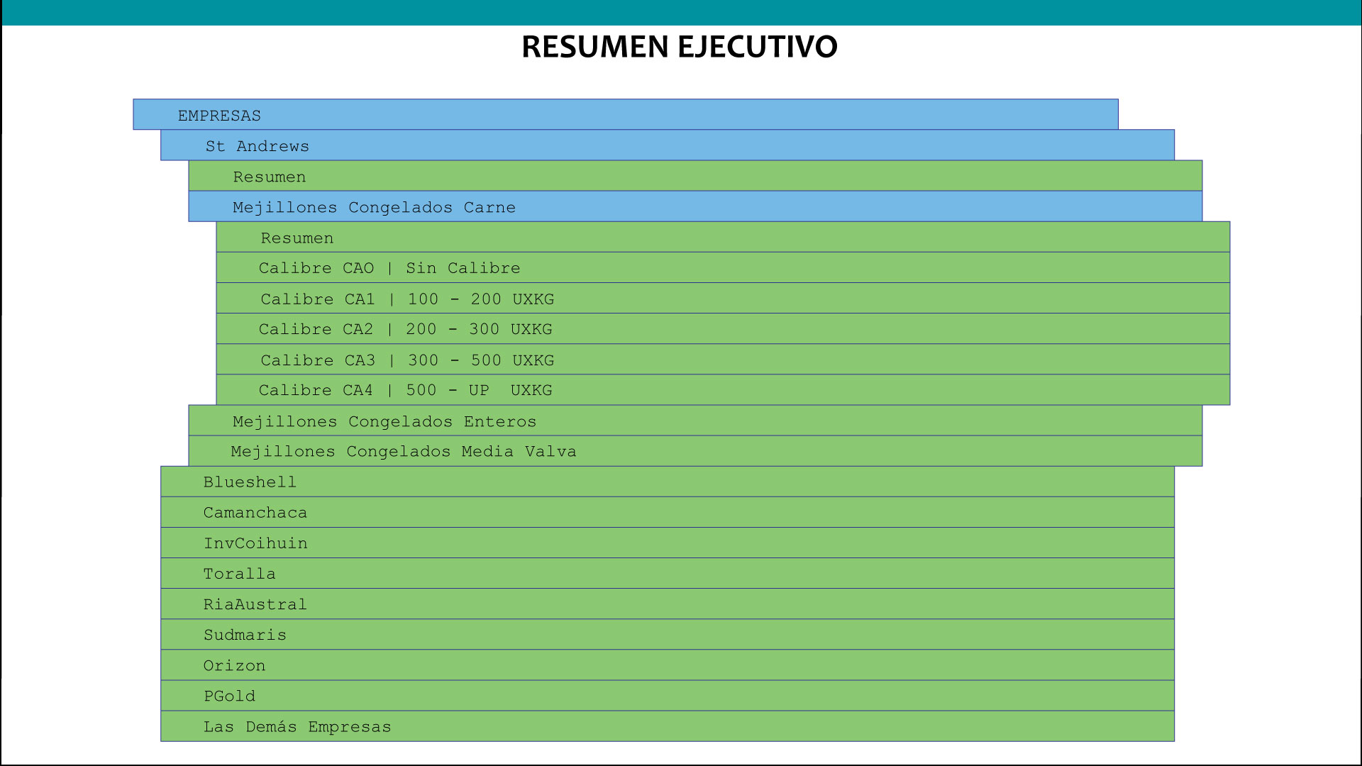 Resumen Ejecutivo